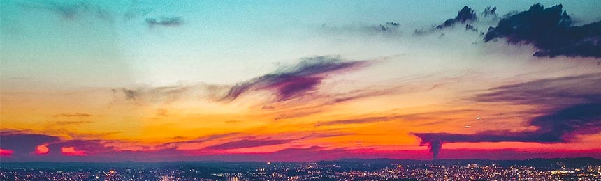 新疆茶虫网_新疆品茶